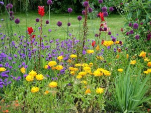 garden public domain 1024px-Colourful_flowerbed_in_the_Italian_garden_of_mount_Stewart_house