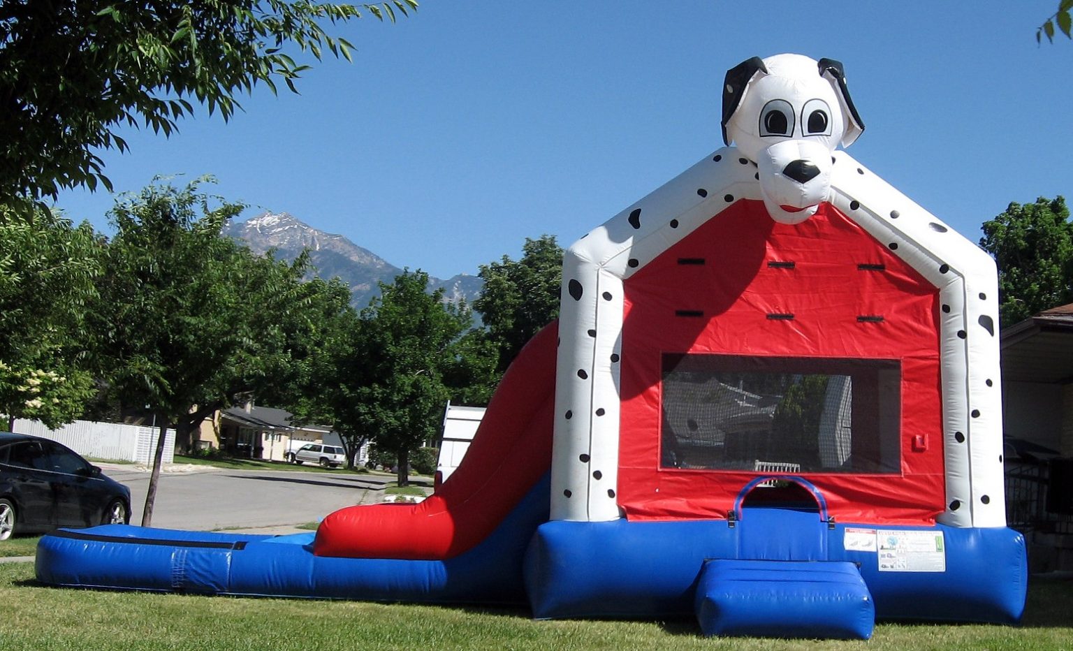 Best Bounce House Homewares Insider