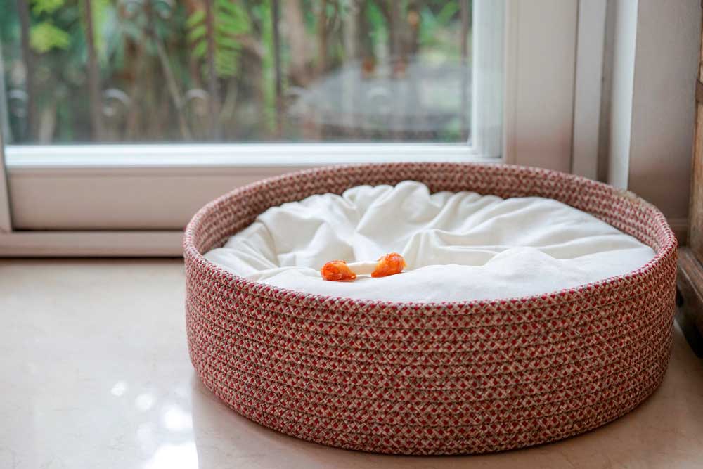 Dog, Bed, Basket