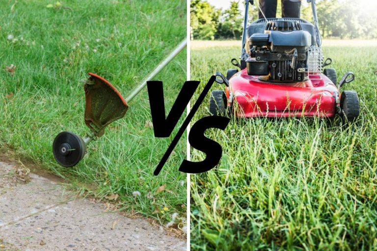 String Trimmer Vs Lawn Mower Do I Need Both? Homewares Insider