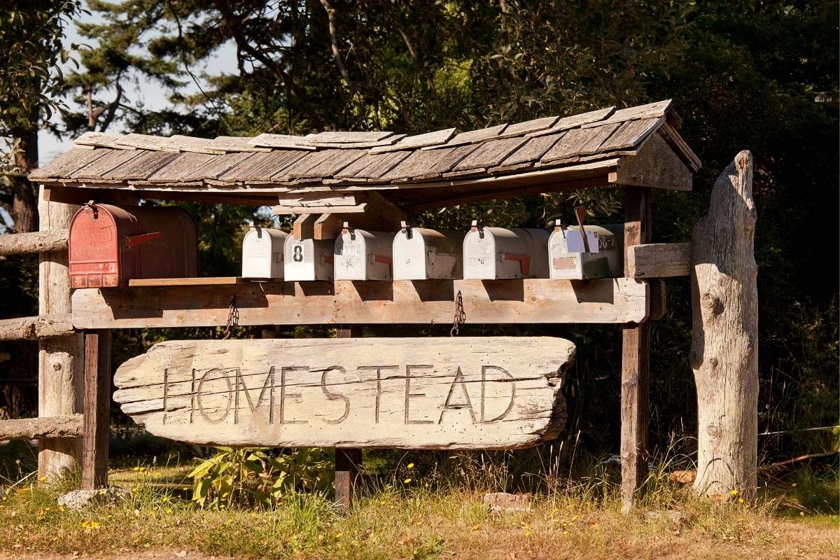 Everything You Need to Start a Homestead