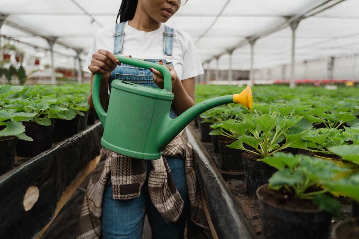A girl waters plants with weed killer