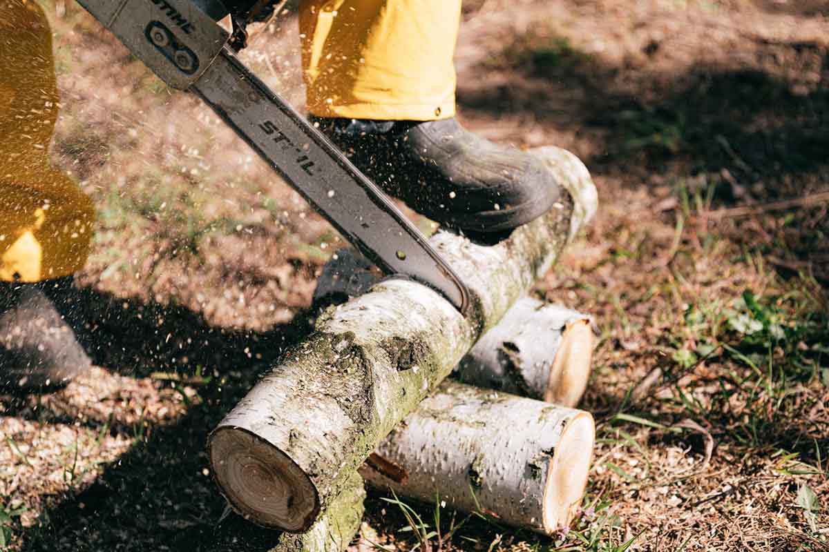 Chainsaw Not Cutting Straight
