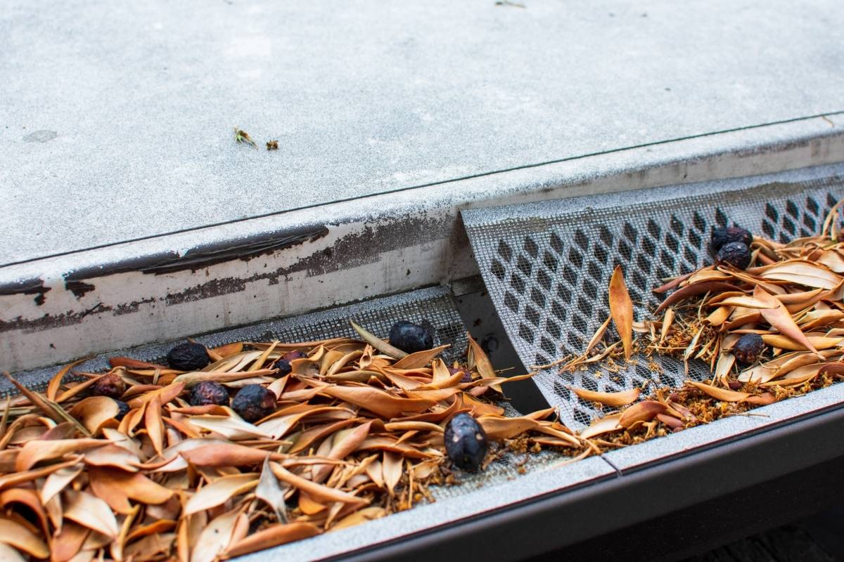 leaves clog eavestrough