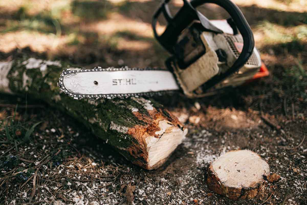 the Chainsaw behind cut log