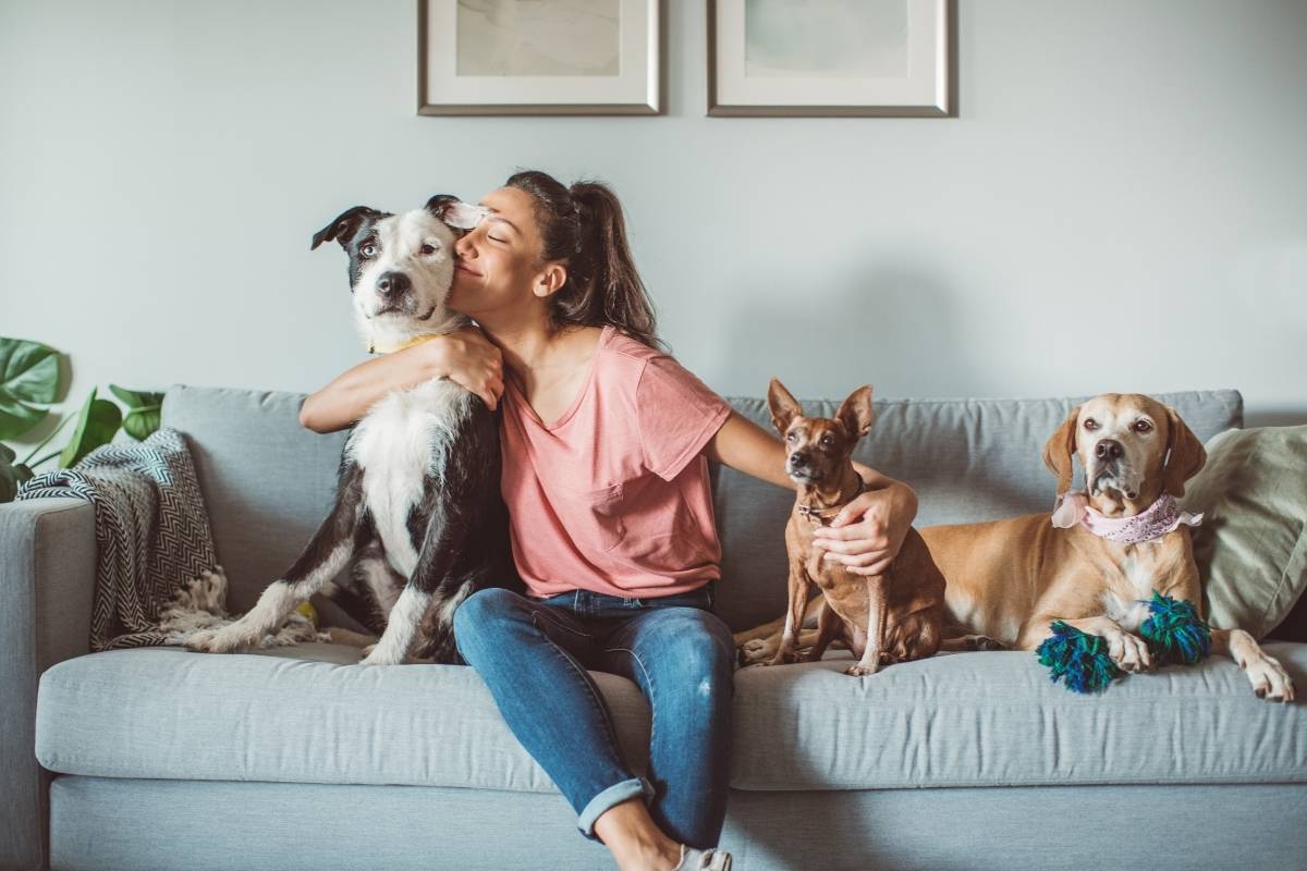 Why Your New House Makes Strange Noises And When To Actually Worry 