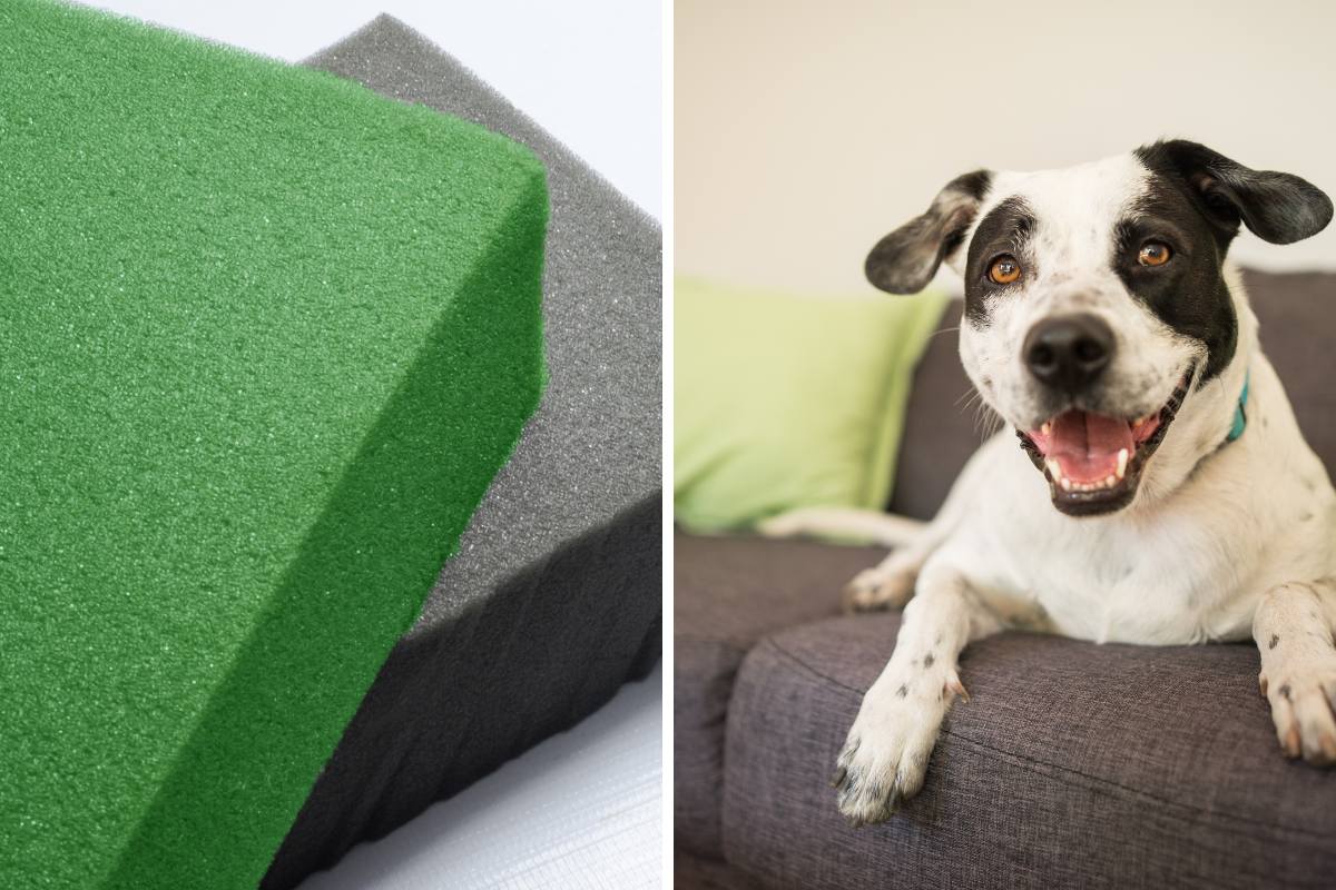 How to Replace a Couch Cushion Foam - Homewares Insider