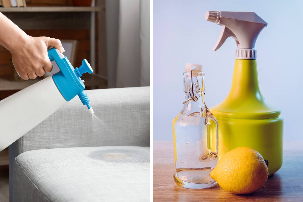 person removing water stain out of fabric sofa