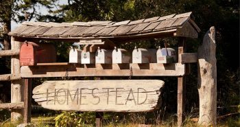 Start a Homestead